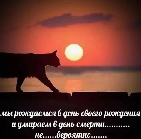 Мы рождаемся и умираем