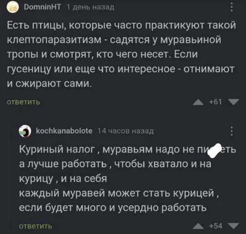 Куриный налог для муравьев
