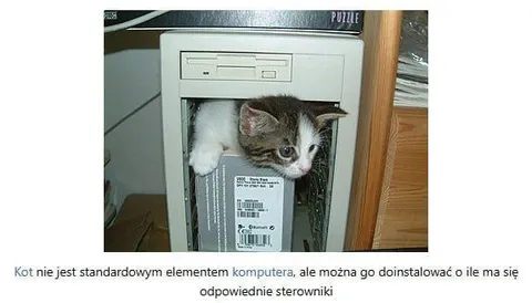 Kot jako sterownik komputera