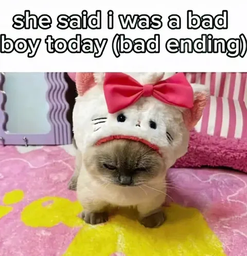Bad Boy Today Ending
