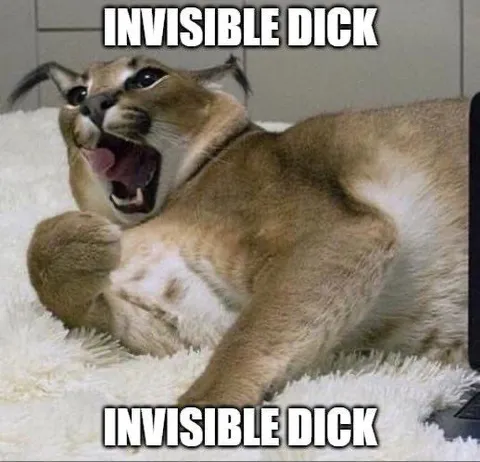 Invisible Dick Screaming Cat