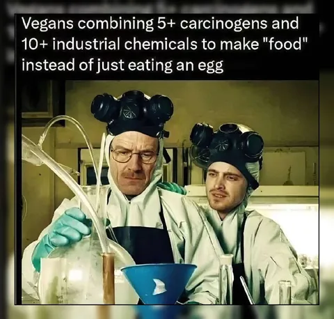 Vegans Make Food Like This