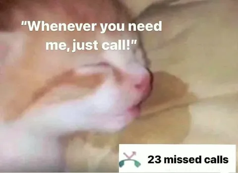 23 Missed Calls From the Cat