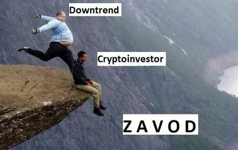 Crypto Investor in a Downtrend