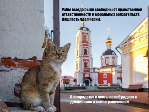 Рабы и благородство