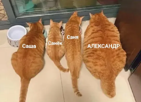 Саша, Санёк и Александр