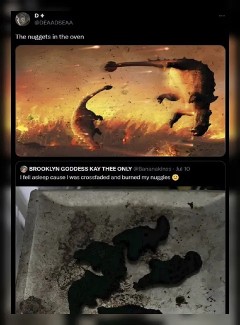 Burned Nuggets in the Oven