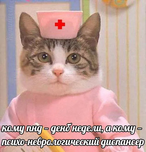 Кому ПНД, кому день недели