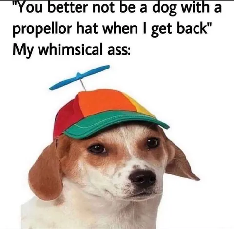 Dog With a Propeller Hat