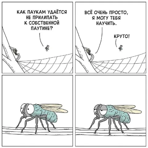 Как паукам не прилипать к паутине
