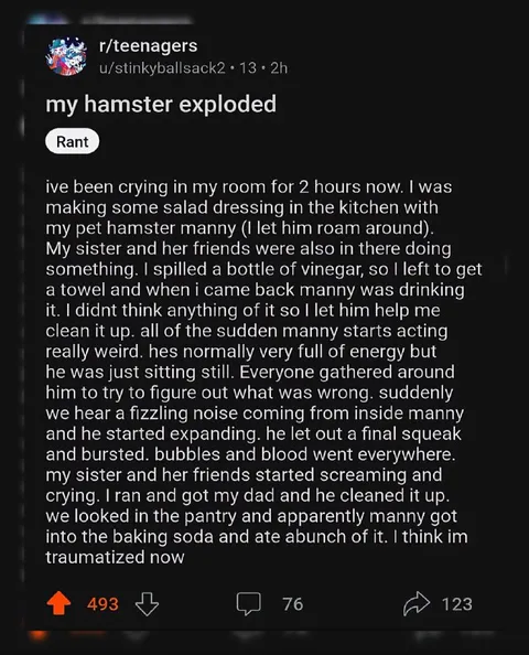 My Hamster Exploded