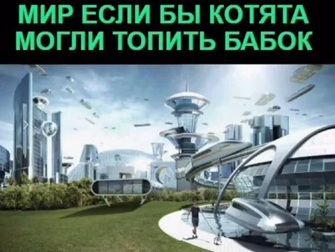 Мир, где котята топят бабок