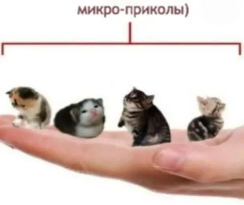 Микро-приколы на пальце