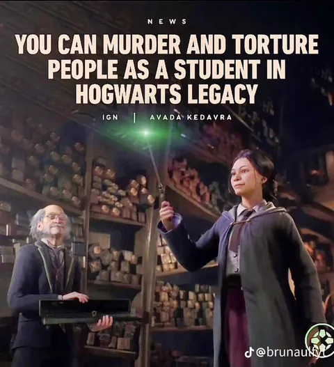 Hogwarts Legacy Murder Student