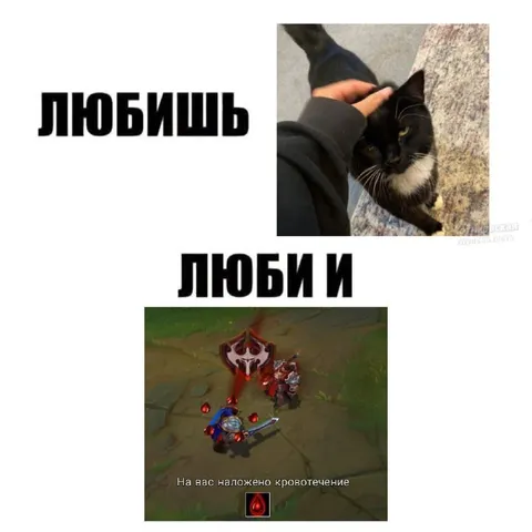 Любишь — люби и кровоточи