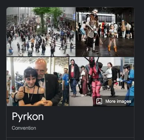Pyrkon Convention Cosplay Crowd