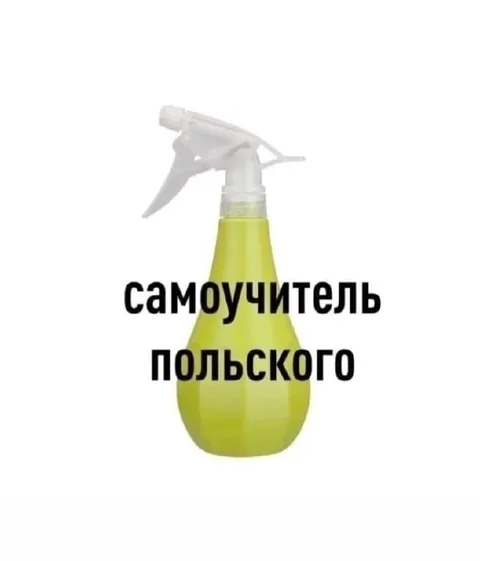 Самоучитель польского