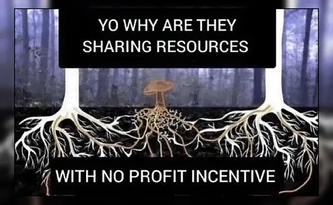 Trees Sharing Resources Without Profit