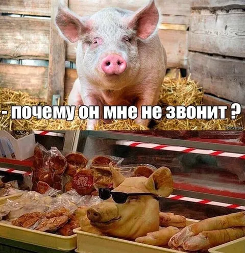 Почему он мне не звонит?