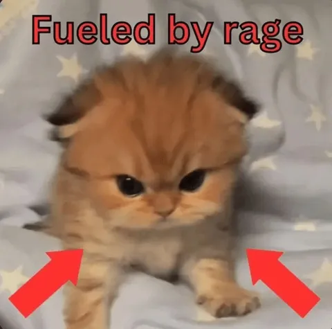 Fueled by Rage Cat