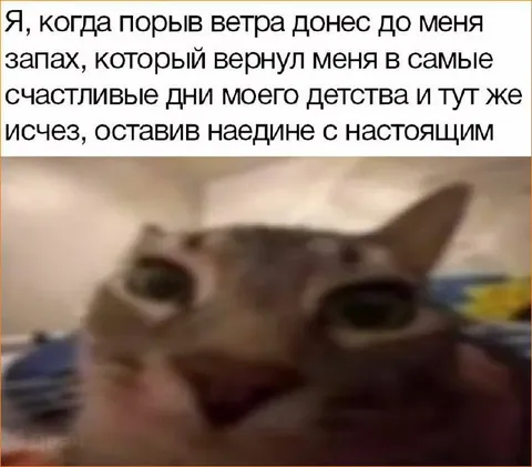 Запах счастливого детства исчез