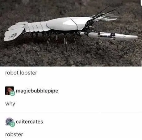 Robot Lobster Confusion