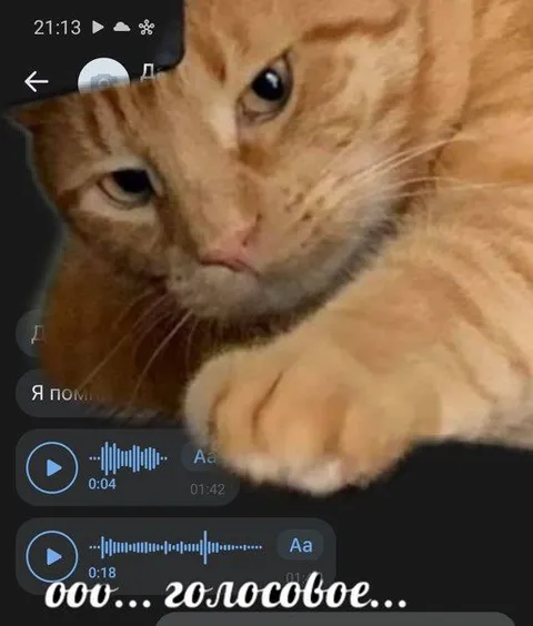 Ооо... голосовое...