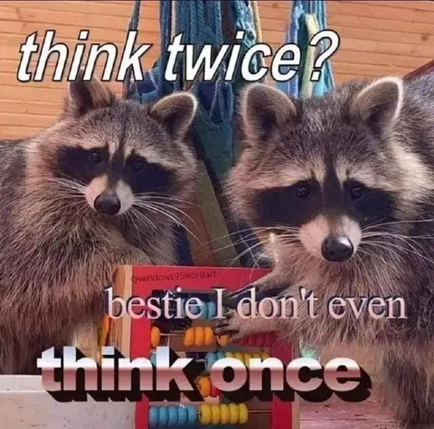 Raccoons Think Twice