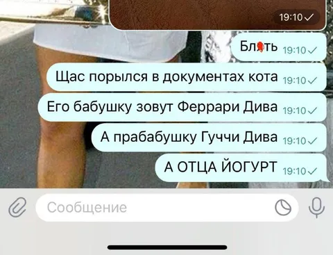 Родословная кота и йогурт