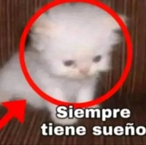 Siempre tiene sueño