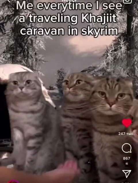 Cats Spot a Khajiit Caravan