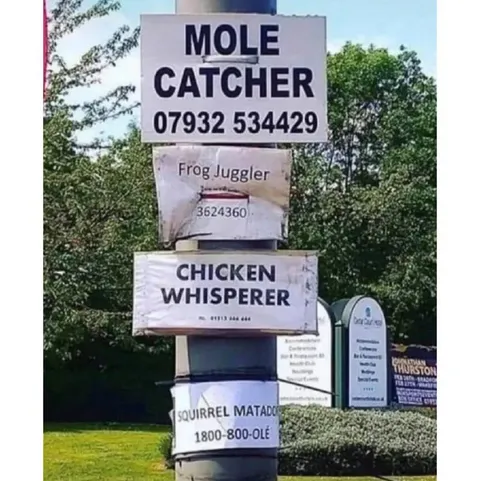 Ridiculous Animal Specialist Signs