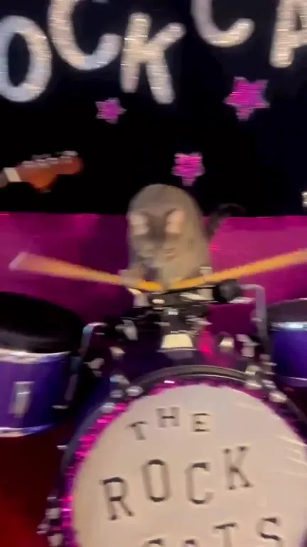 Cat Drummer in a Rock Band