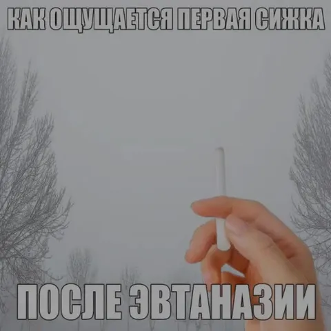 Первая сигарета после эвтаназии