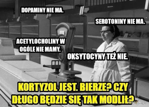 Kortyzol jest, bierze?
