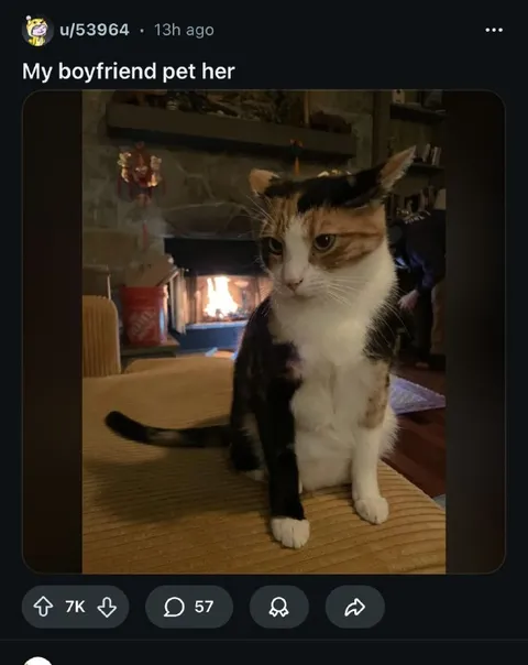 Jealous Cat After Boyfriend Pets Her