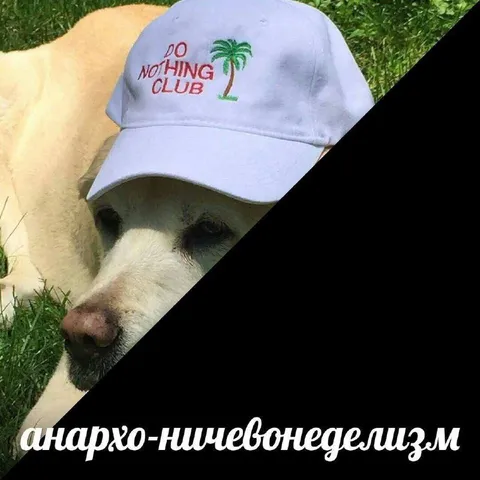 Анархо-нищевонедельнизм