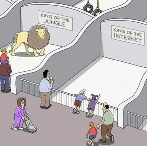 King of the Jungle vs Internet
