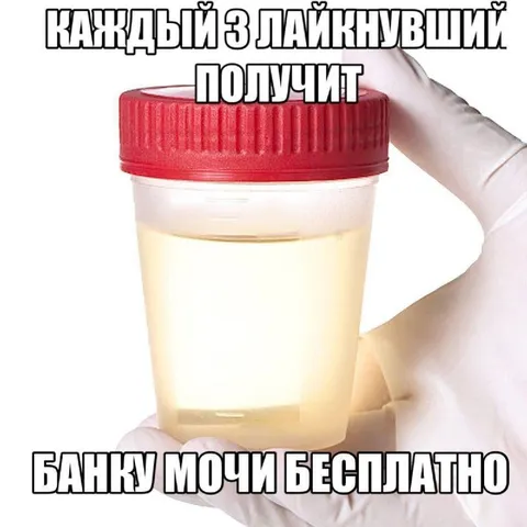 Банка мочи бесплатно
