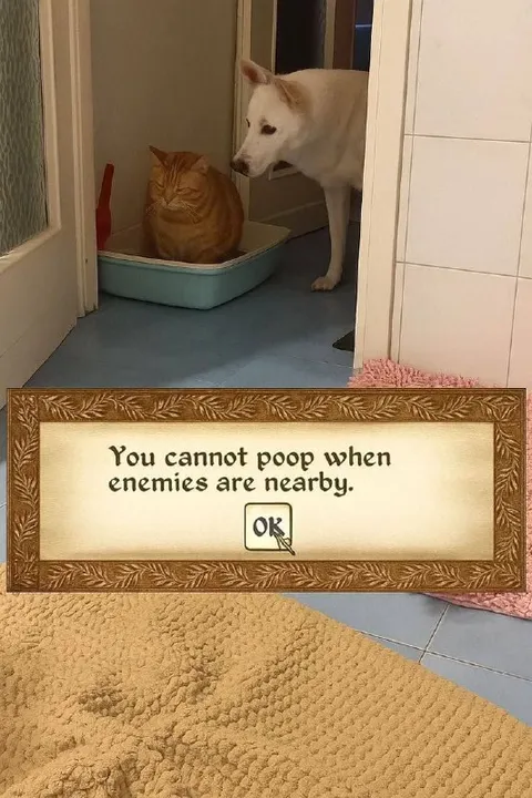 You Cannot Poop Near Enemies