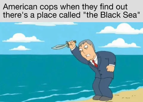 American Cops and the Black Sea