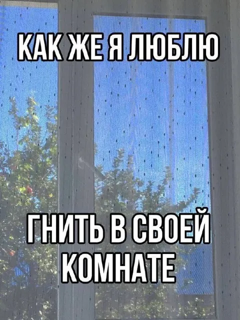 Москитная сетка в комнате