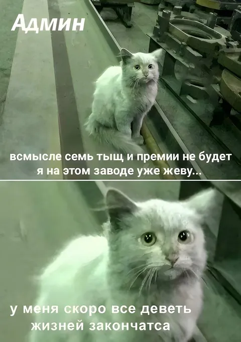 Админ и семь тыщ
