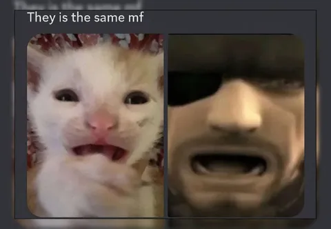 They Is the Same MF
