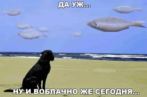 Воблачно сегодня на пляже