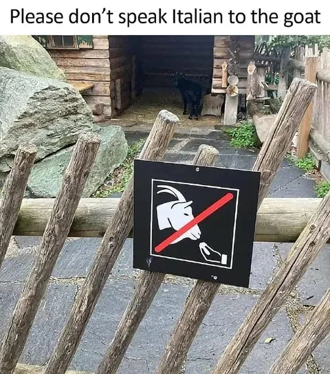 Please Don’t Speak Italian to the Goat