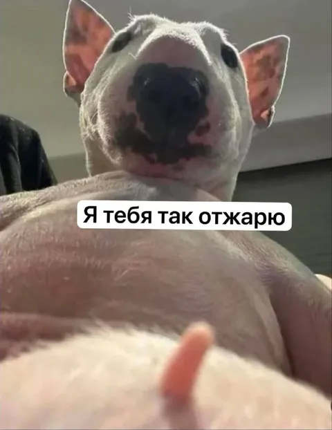 Я тебя так отжарю