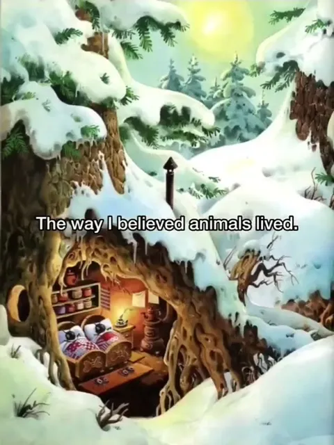 The Cozy Homes Animals Live In