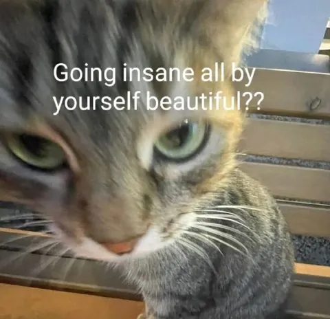 Going Insane by Yourself