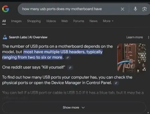 AI Overview Tells You to Die